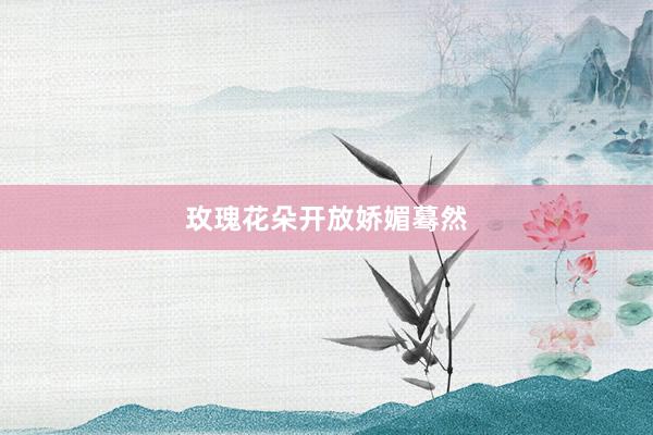 玫瑰花朵开放娇媚蓦然
