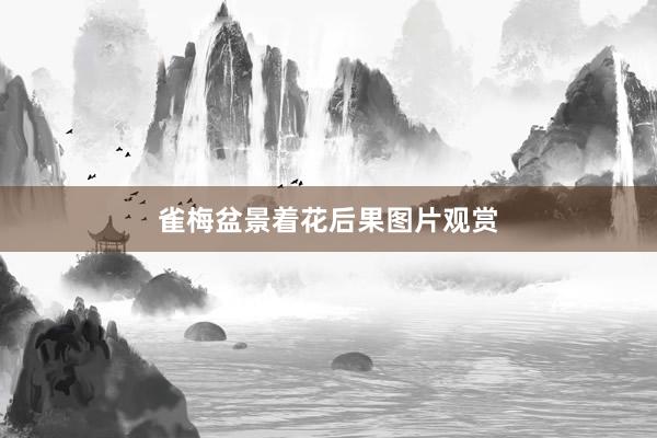 雀梅盆景着花后果图片观赏