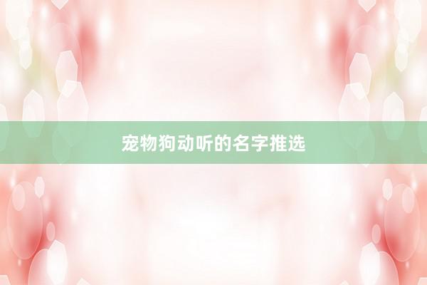 宠物狗动听的名字推选