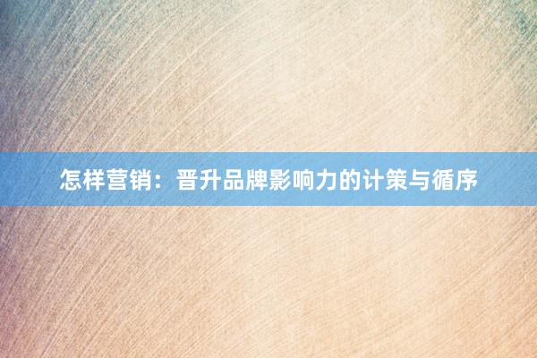 怎样营销：晋升品牌影响力的计策与循序